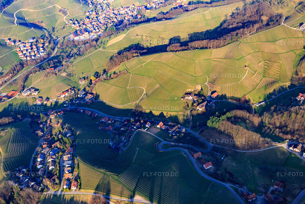 Luftbild: Ortsteil zwischen badischen Weinbergen im Ortsteil Büchelbach in Sasbachwalden im Bundesland Baden-Württemberg in Deutschland. Foto: IMG_097705.jpg vom 16.03.2017 durch Werner Riehm/FLY-FOTO.de