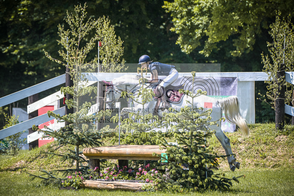 DOS_5813 | Entdecke hochwertige Reitturnierfotos von Foto Oger. Professionell, emotional und authentisch – jetzt Lieblingsmomente im Shop bestellen.Deutschlandweite Turnierfotografie. - Realisiert mit Pictrs.com