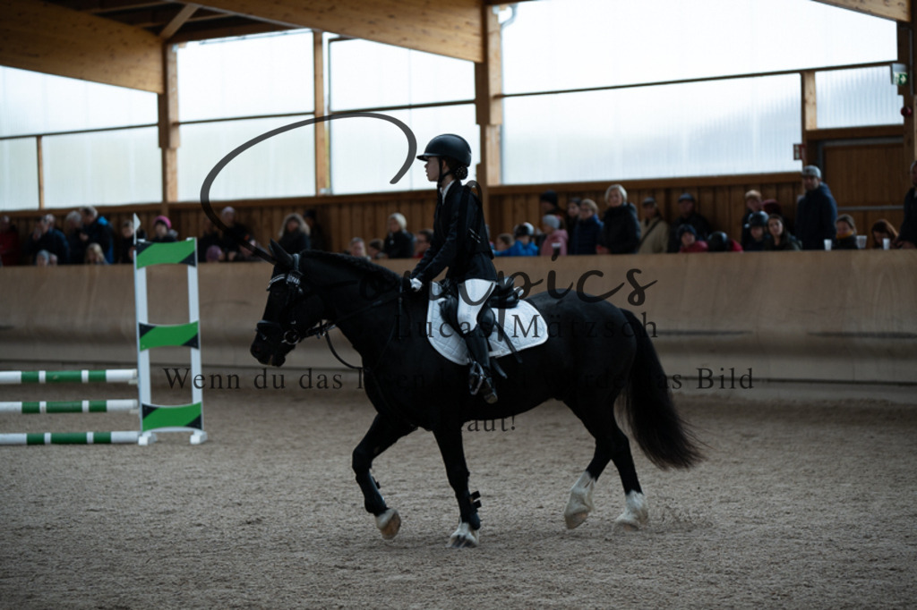 A7V02861 | Turnier/Reitfotograf