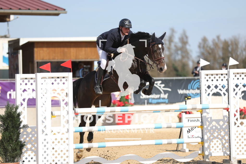 0P6A1539 | Willkommen bei Brunnmayr - Design & Fotografie – Ihrem Spezialisten für Reitturniere und Pferdeveranstaltungen in Oberösterreich, Salzburg und Bayern! Seit über 17 Jahren sind wir leidenschaftlich dabei.
