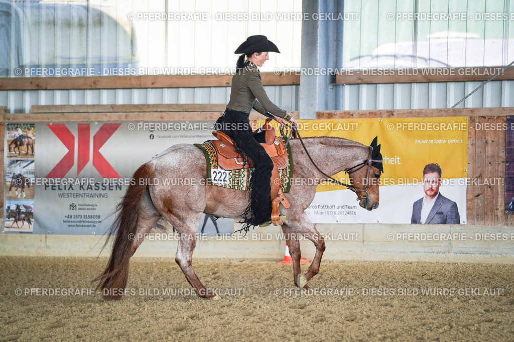 DSC09187 | Pferdegrafie