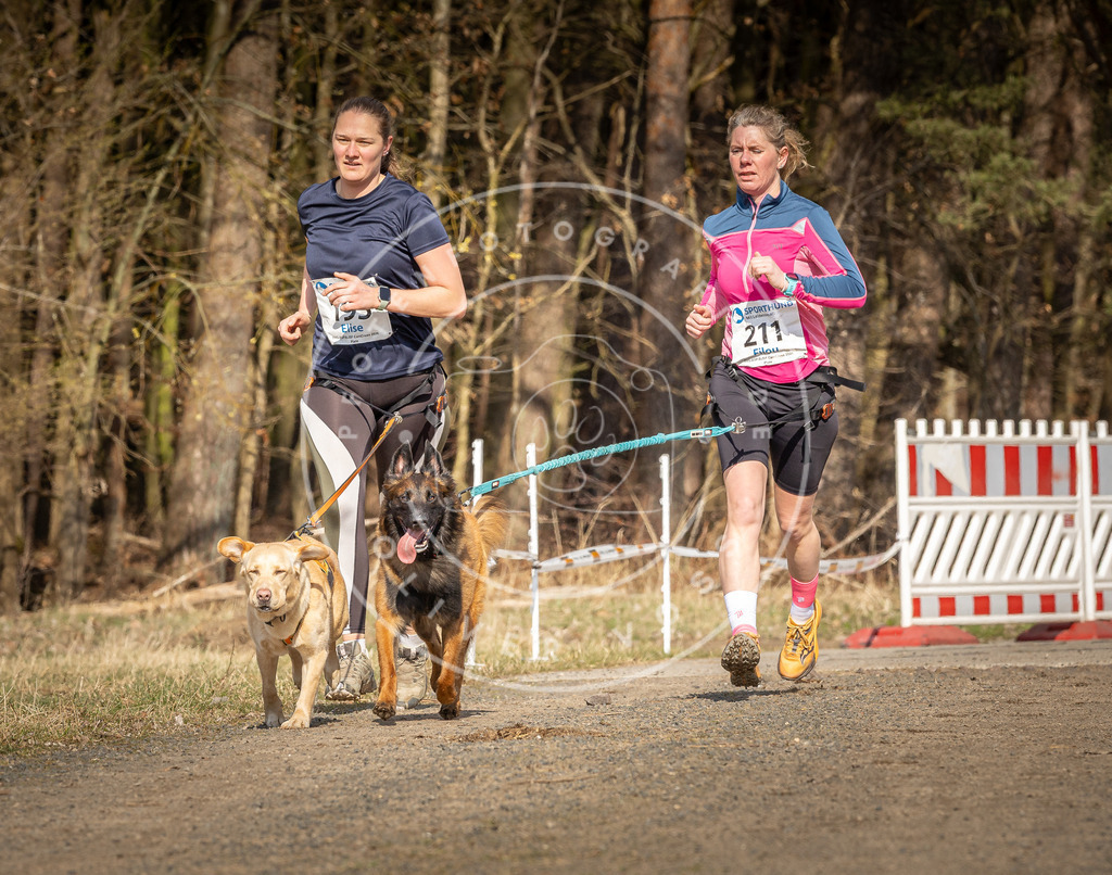 DV3A5774 | Hundefotografie, Tierfotograf, Pfotenfotografie, Fotoshooting Hund, Hunde Portrait, Hundesport, Hundeportraits, Heideshooting, Hunde, Sportfotograf, Hundefotograf, Turnierhundsport, THS,  - Realisiert mit Pictrs.com