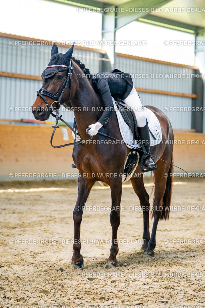 DSC06398 | Pferdegrafie