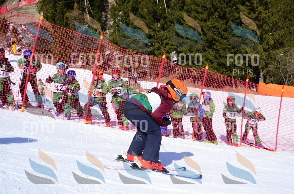 C4718 | holidayphoto