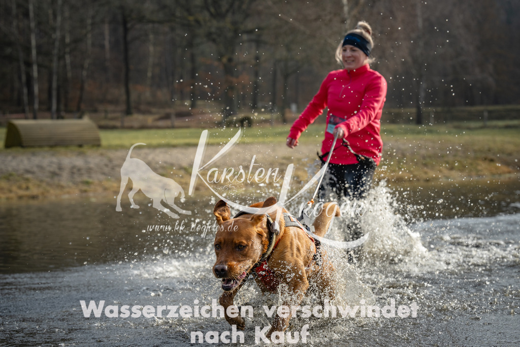 0947_ZZ93768 | kk-dogfotos