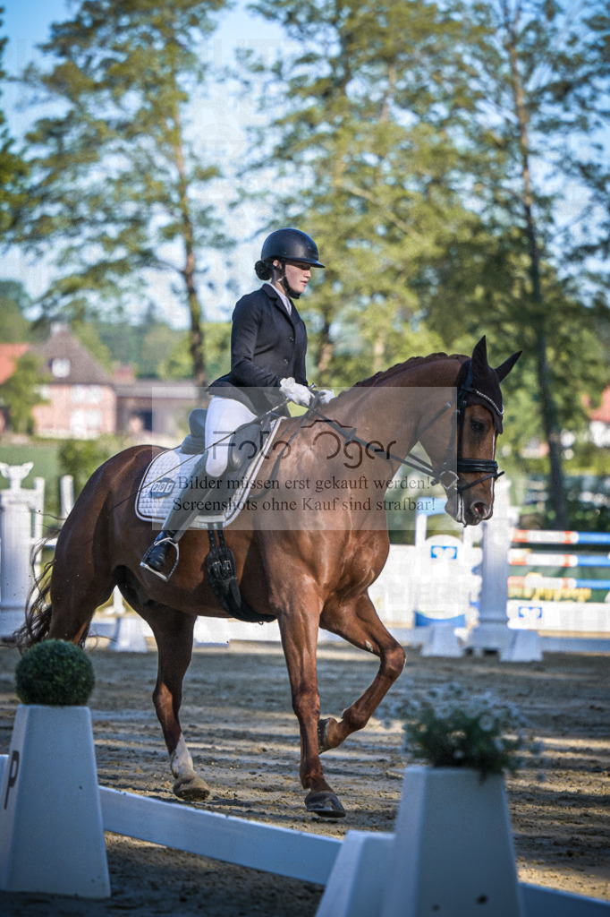 DOS_3931 | Entdecke hochwertige Reitturnierfotos von Foto Oger. Professionell, emotional und authentisch – jetzt Lieblingsmomente im Shop bestellen.Deutschlandweite Turnierfotografie. - Realisiert mit Pictrs.com