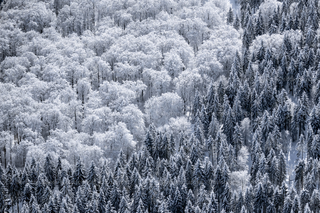 4043398 | winterliche Baumstrukturen in der Rhön