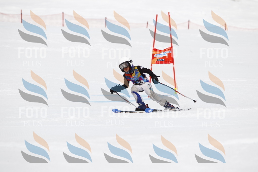 _U3G7358 | holidayphoto