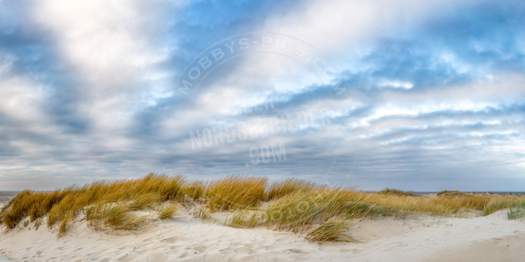 Dünenpanorama 22 | Dünenlandschaft in St. Peter-Ording