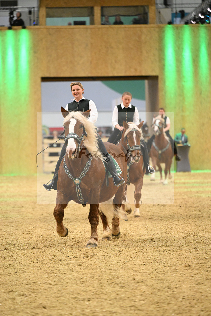 Schauprogramm_Dressurquadrille_1261113 | hf-fotografie - Realisiert mit Pictrs.com