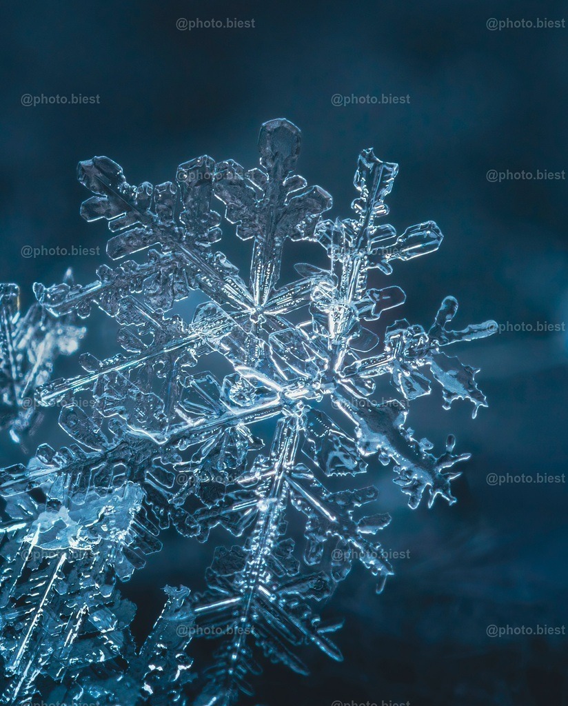 Schneeflocke #15 | Eine (von vielen) filigranen Schneeflocken in meinem ersten Makro-Schneeflocken-Winter. - Realisiert mit Pictrs.com