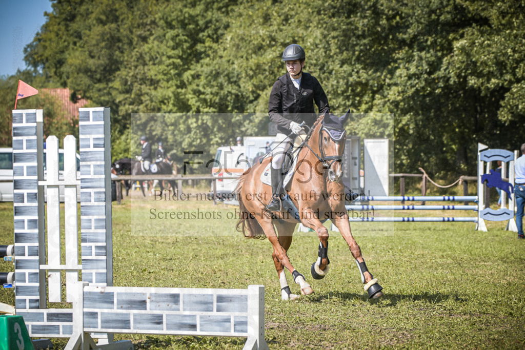 DOS_0065 | Entdecke hochwertige Reitturnierfotos von Foto Oger. Professionell, emotional und authentisch – jetzt Lieblingsmomente im Shop bestellen.Deutschlandweite Turnierfotografie. - Realisiert mit Pictrs.com