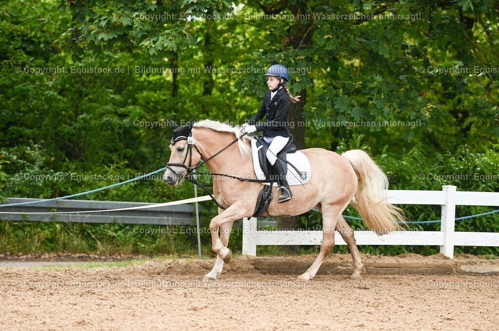 20230716_10-2_Reiter-WB Schritt - Trab - Galopp_0049 | equistock