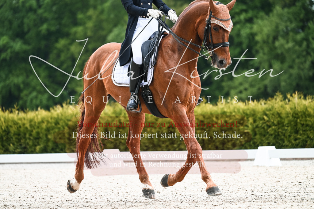 20230514_JK-Röhrsdorf-21-005 | Pferde- und Turnierfotografie in Westsachsen. Pferdeportraits, Auftragszeichnungen und intuitive Kunst.