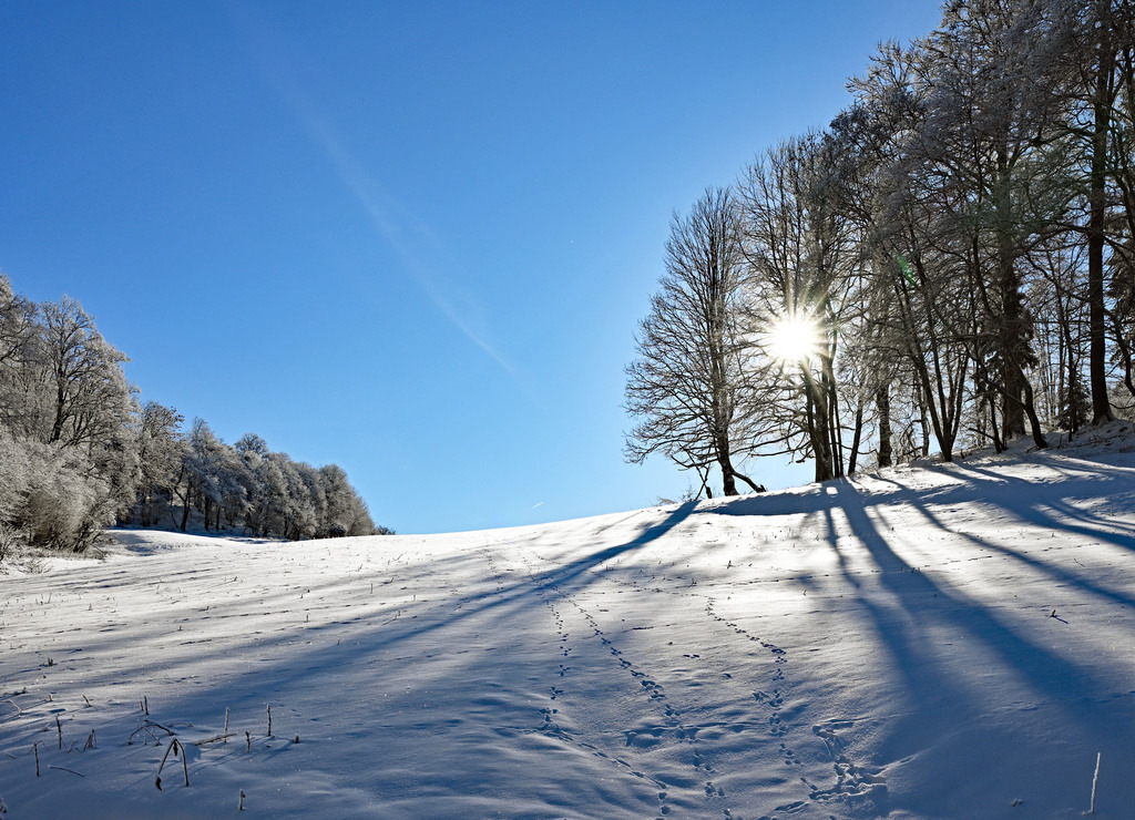 Geba260111-Winterwald02 | lucisnaturbilder - Realisiert mit Pictrs.com