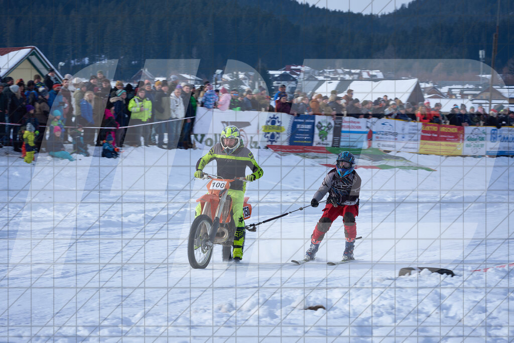 11. Holzknecht Skijöring | Skijöring am 24.01.2026: 11. Holzknecht Skijöring in Gosau am Dachstein, Oberösterreich, ÖsterreichFoto: © 2026 Martin Bihounek | mb-creative.eu