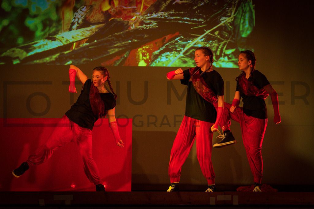 _DSC2007 | Tinu Müller Fotografie- Bildershop - Realisiert mit Pictrs.com