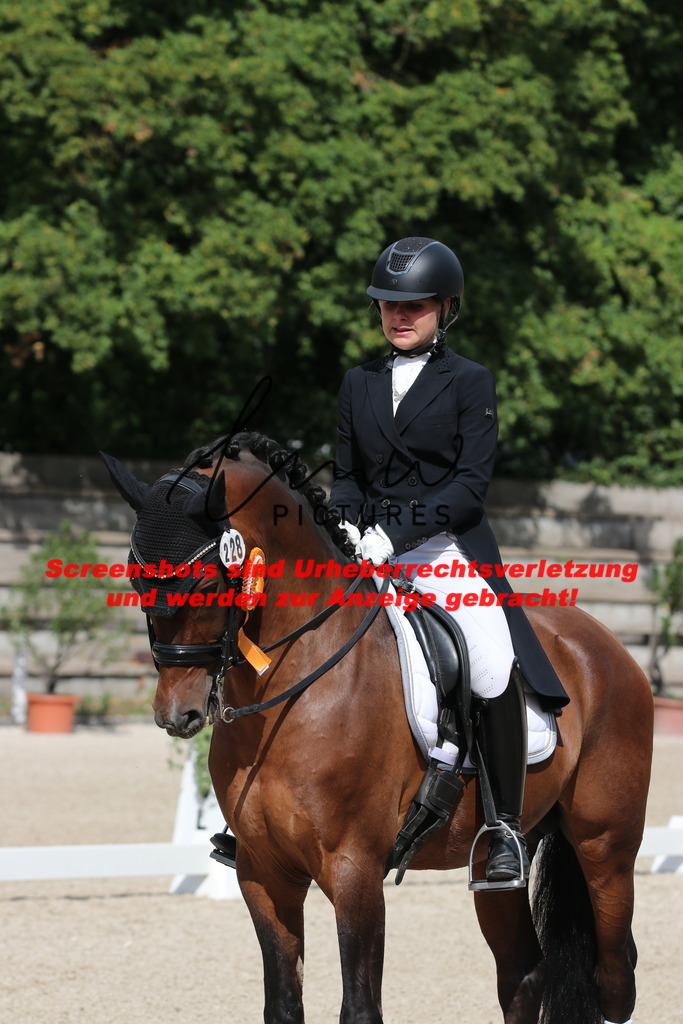 IMG_1331 | lmwpictures - Realisiert mit Pictrs.com