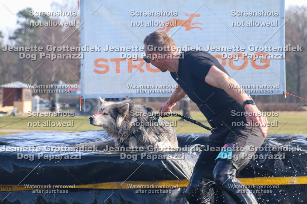 Dog Paparazzi - Strongdog North Mrz26-1008 | Dog Paparazzi Jeanette Grottendiek Fotografie & Videografie - Realisiert mit Pictrs.com