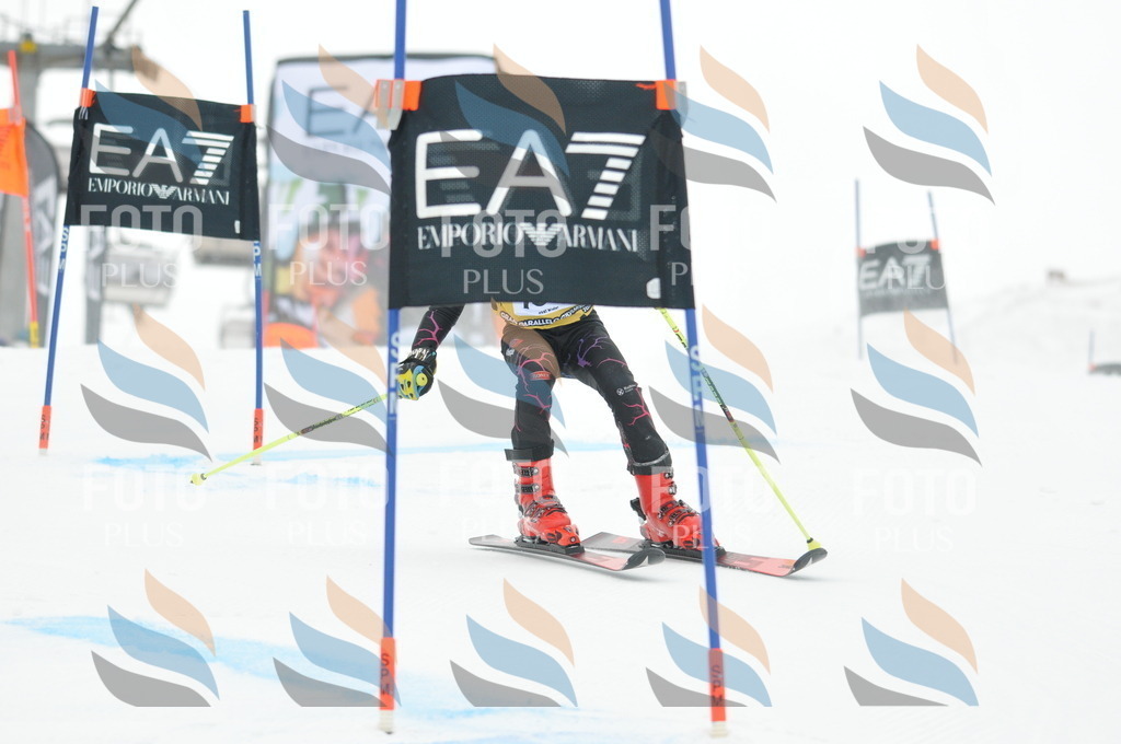 DSC_8085 | holidayphoto