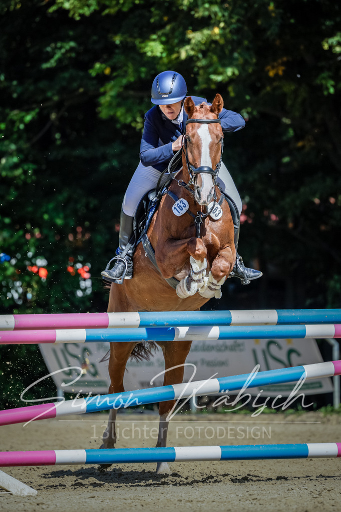 20250906-_3LI4241 | Tierfotografie Pferde, Hunde, Katzen, Haustiere.
Turnierfotografie Reitturniere, Reiten, Springreiten, Dressur in Hanau, dem Main-Kinzig-Kreis und dem Rhein-Main- Gebiet um Frankfurt