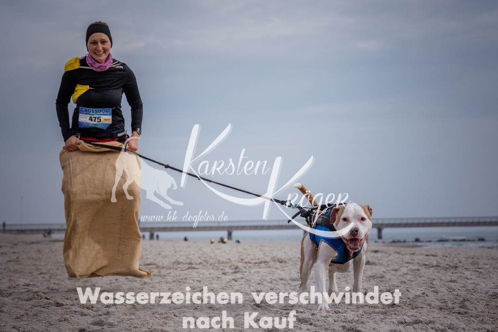 1152_ZZ91182 | kk-dogfotos