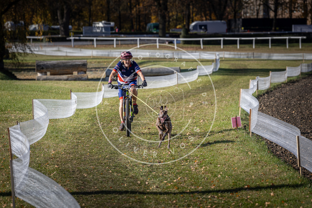 CaniXpix_DV3A6482 | Hundefotografie, Tierfotograf, Pfotenfotografie, Fotoshooting Hund, Hunde Portrait, Hundesport, Hundeportraits, Heideshooting, Hunde, Sportfotograf, Hundefotograf, Turnierhundsport, THS,  - Realisiert mit Pictrs.com