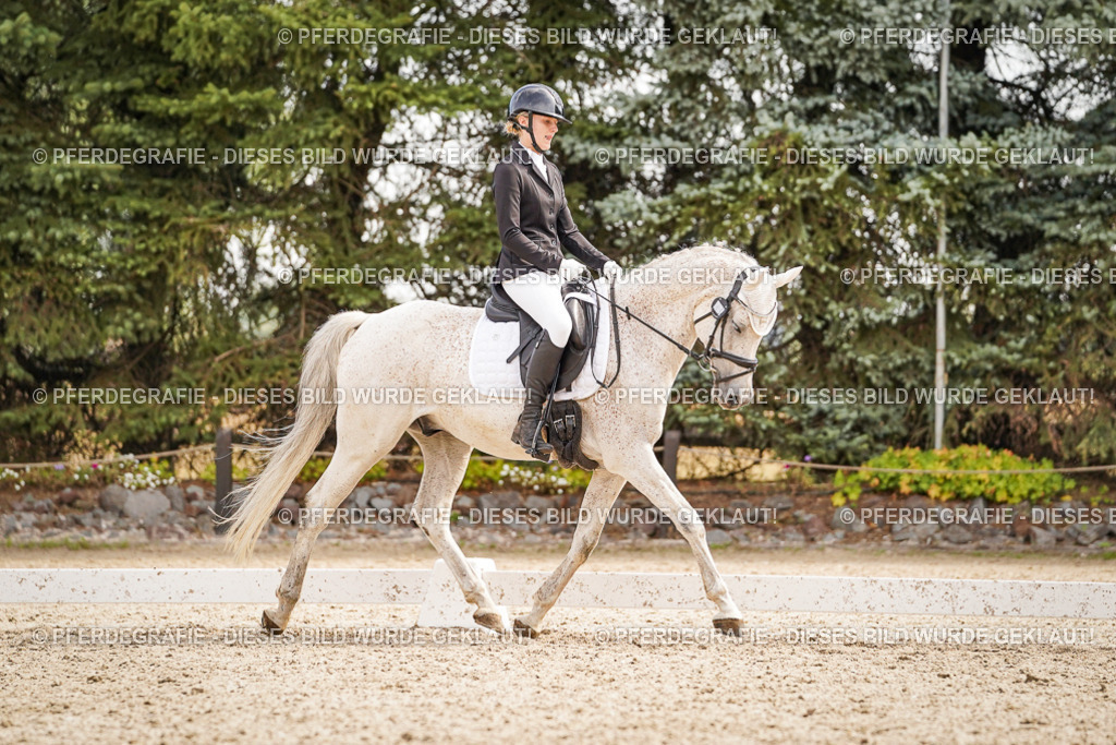 DSC01334 | Pferdegrafie