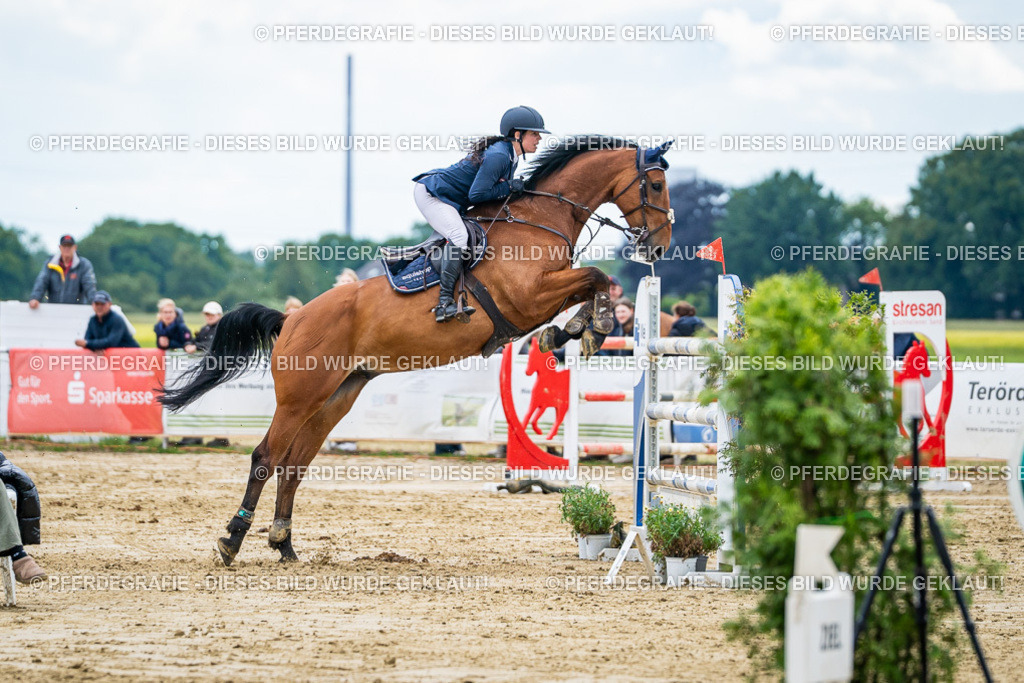 DSC06040 | Pferdegrafie