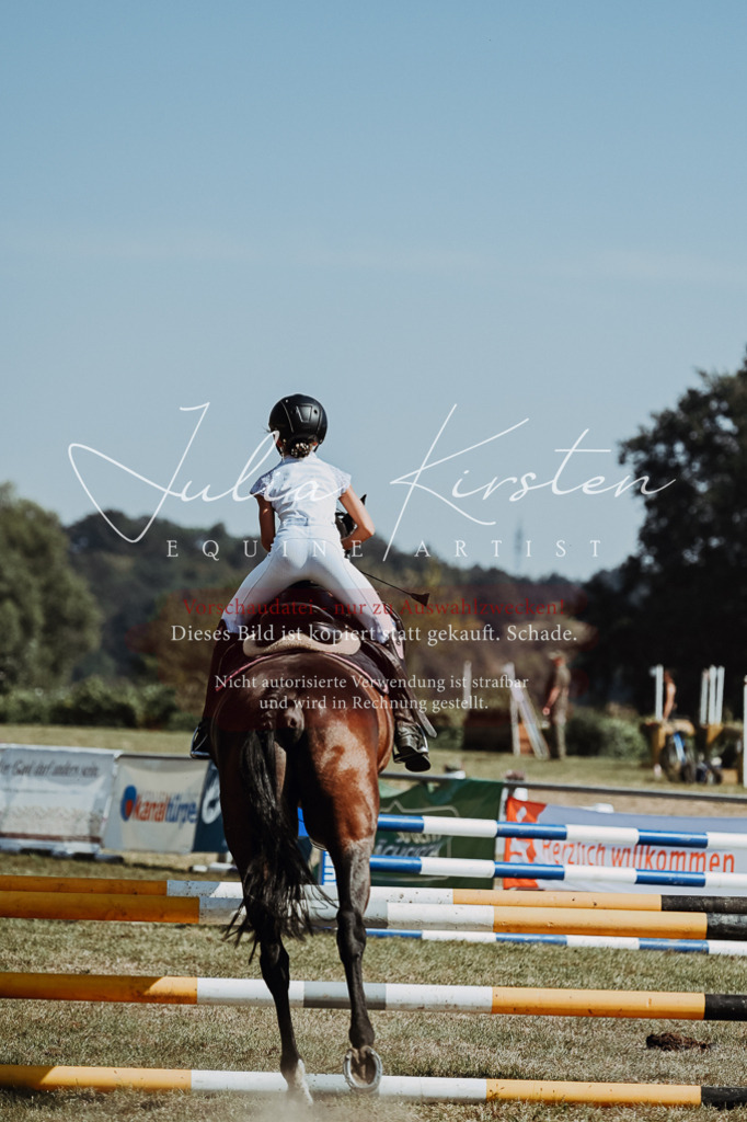 DSC_9837 | Pferde- und Turnierfotografie in Westsachsen. Pferdeportraits, Auftragszeichnungen und intuitive Kunst.