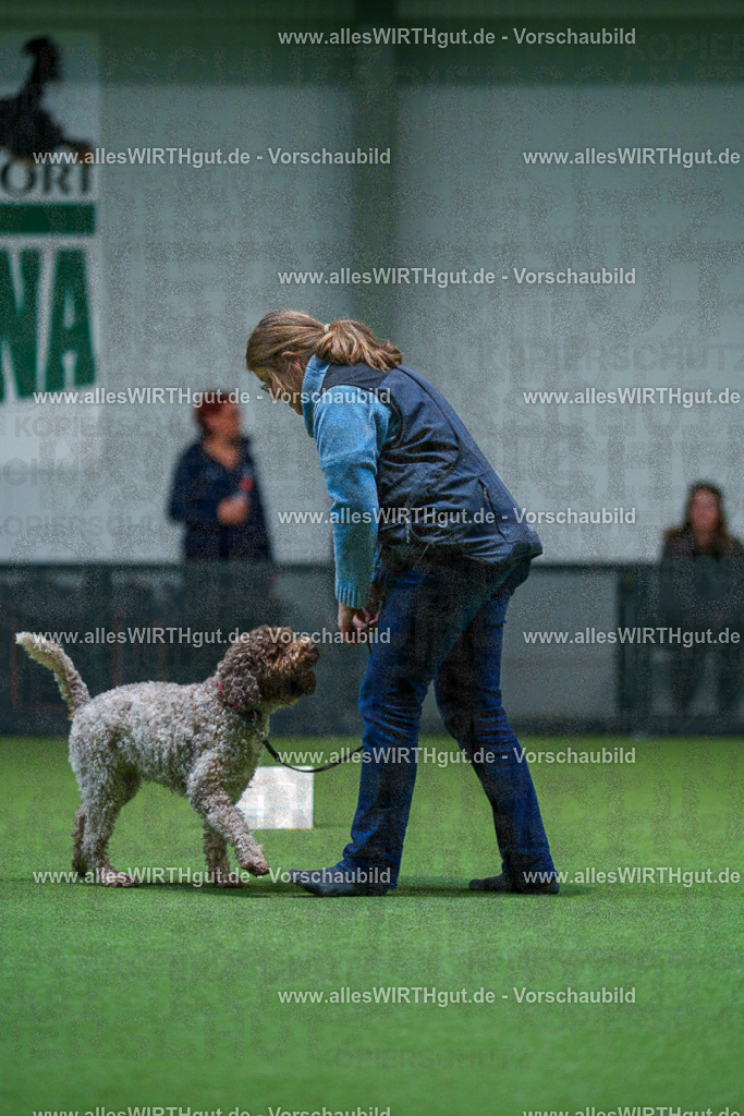 7R503054 | Professionelle Tierfotografie in Mönchengladbach von Daniel Wirth (allesWIRTHgut). Liebevolle & natürliche Bilder von Hunden & Katzen für unvergessliche Erinnerungen.