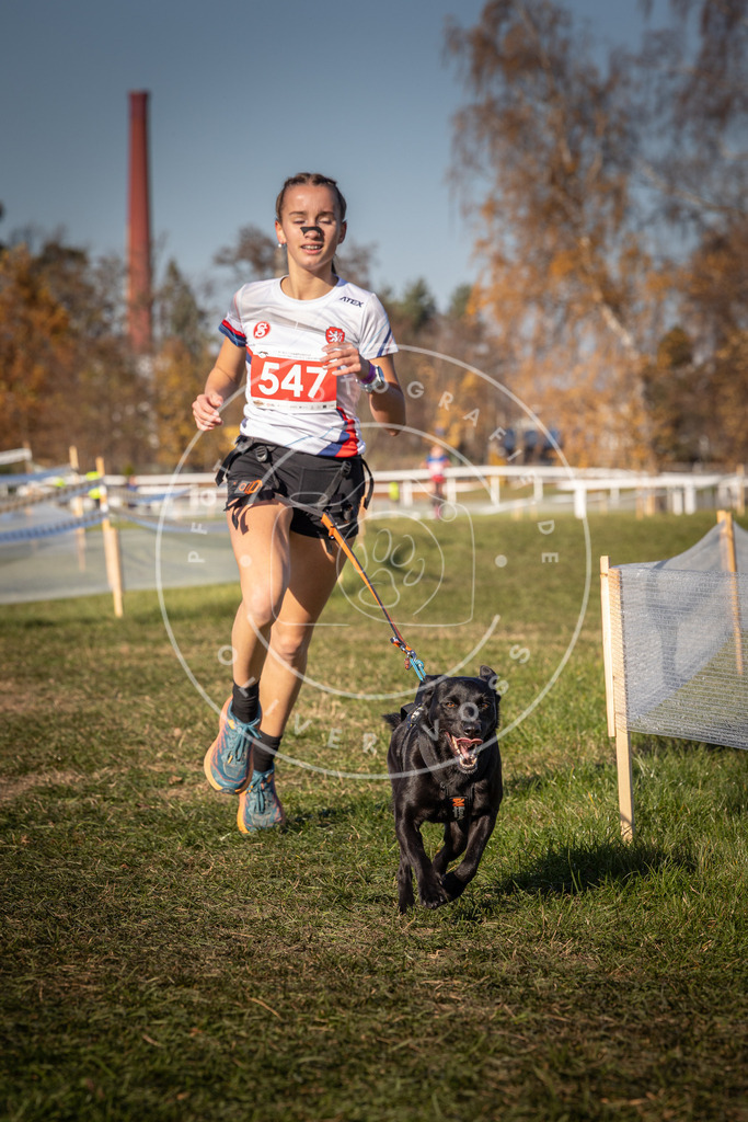 CaniXpix_0L8A7714 | Hundefotografie, Tierfotograf, Pfotenfotografie, Fotoshooting Hund, Hunde Portrait, Hundesport, Hundeportraits, Heideshooting, Hunde, Sportfotograf, Hundefotograf, Turnierhundsport, THS,  - Realisiert mit Pictrs.com