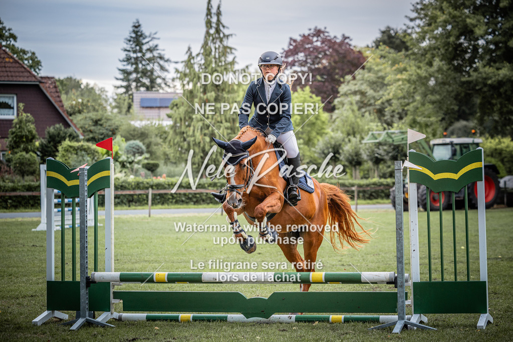 nelerasche_StilSpr60Ede_22 | nelerasche