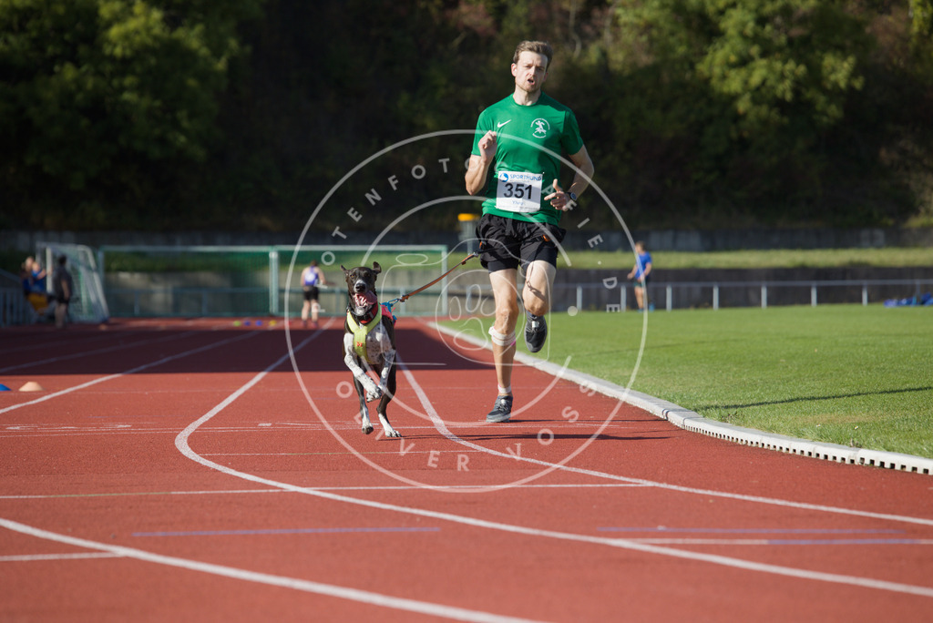 0L8A9774 | Hundefotografie, Tierfotograf, Pfotenfotografie, Fotoshooting Hund, Hunde Portrait, Hundesport, Hundeportraits, Heideshooting, Hunde, Sportfotograf, Hundefotograf, Turnierhundsport, THS,  - Realisiert mit Pictrs.com