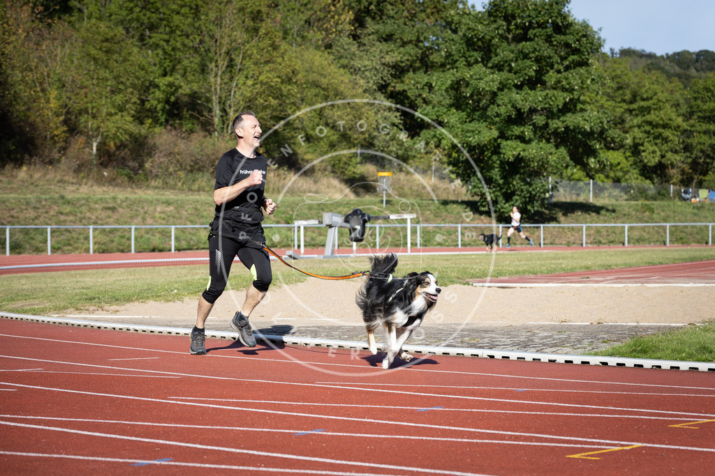 Pfotenfotografie_DV3A9972 | Hundefotografie, Tierfotograf, Pfotenfotografie, Fotoshooting Hund, Hunde Portrait, Hundesport, Hundeportraits, Heideshooting, Hunde, Sportfotograf, Hundefotograf, Turnierhundsport, THS,  - Realisiert mit Pictrs.com