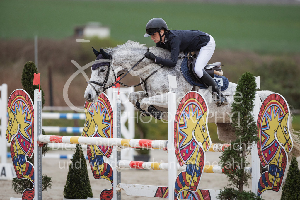 240330_Fruehlingsfest_Stil-M-1013 | Deine schönsten Turniermomente als professionelle Fotos! Entdecke hochwertige Pferdesport-Fotografie im Online-Shop. Jetzt Fotos finden & bestellen!