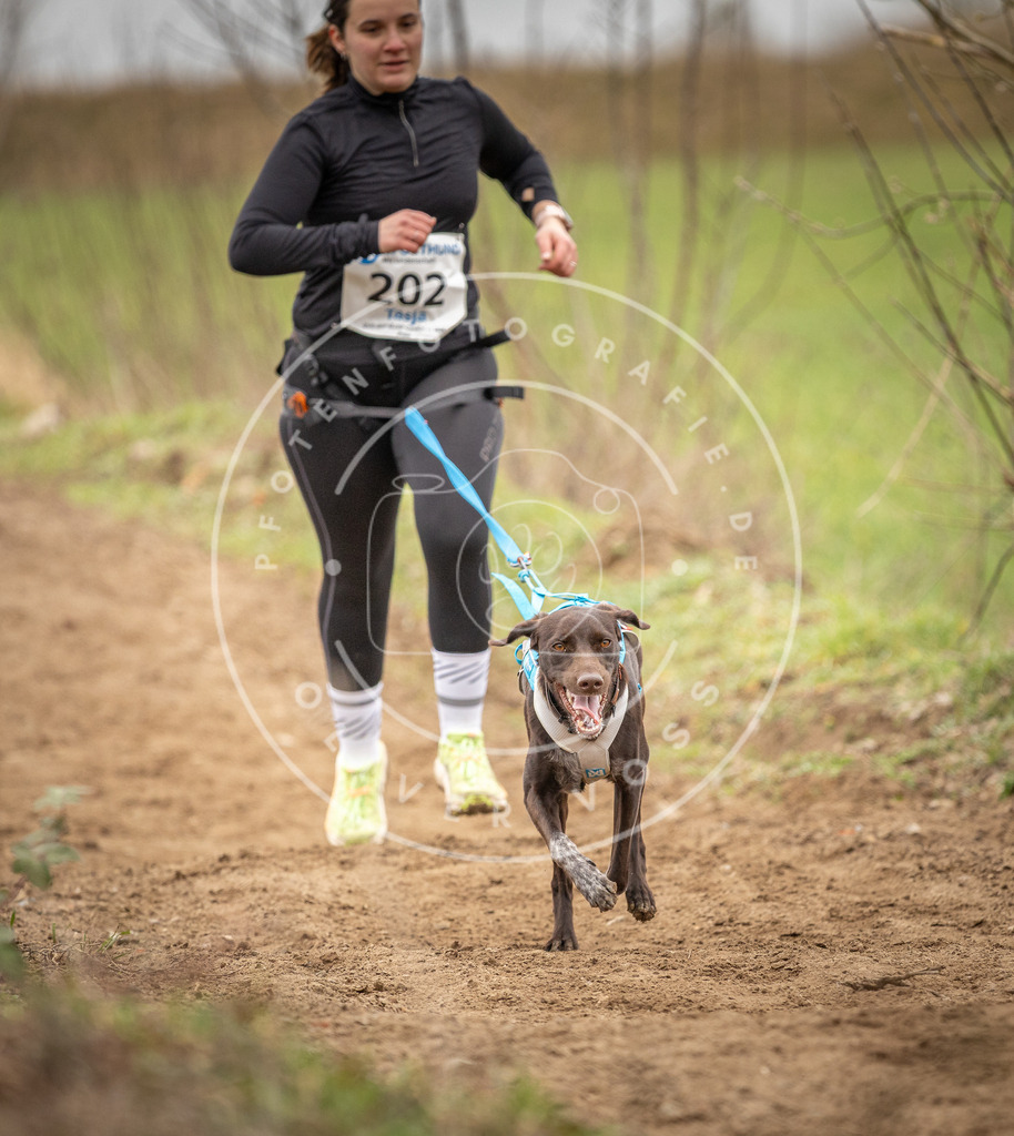 DV3A2512 | Hundefotografie, Tierfotograf, Pfotenfotografie, Fotoshooting Hund, Hunde Portrait, Hundesport, Hundeportraits, Heideshooting, Hunde, Sportfotograf, Hundefotograf, Turnierhundsport, THS,  - Realisiert mit Pictrs.com