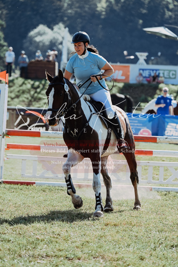 DSC_5471 | Pferde- und Turnierfotografie in Westsachsen. Pferdeportraits, Auftragszeichnungen und intuitive Kunst.