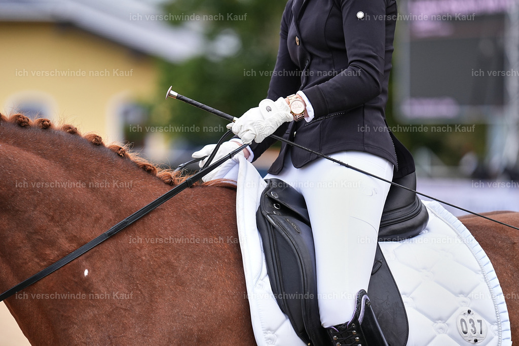 02-037-DRESSUR L_  -Marixx-4812 | working equitationturnier fotograf videograf stoibphotography marixx film working equitation deutschland reitsport turnierfotografie eventfotografie equestrian events