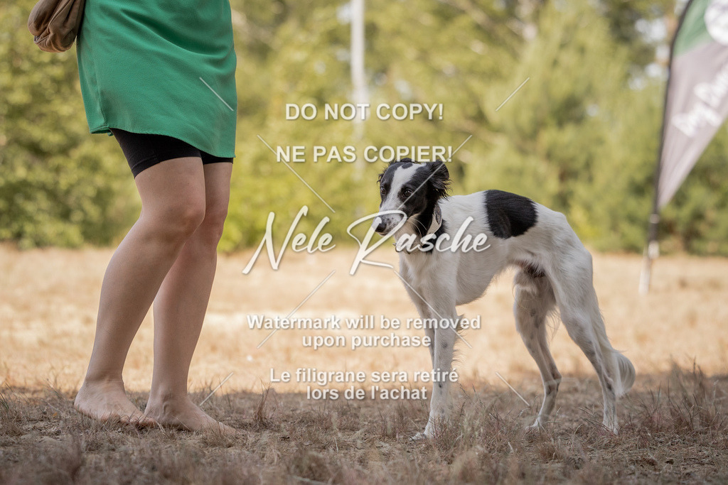 nelerasche_soDD2_433 | nelerasche