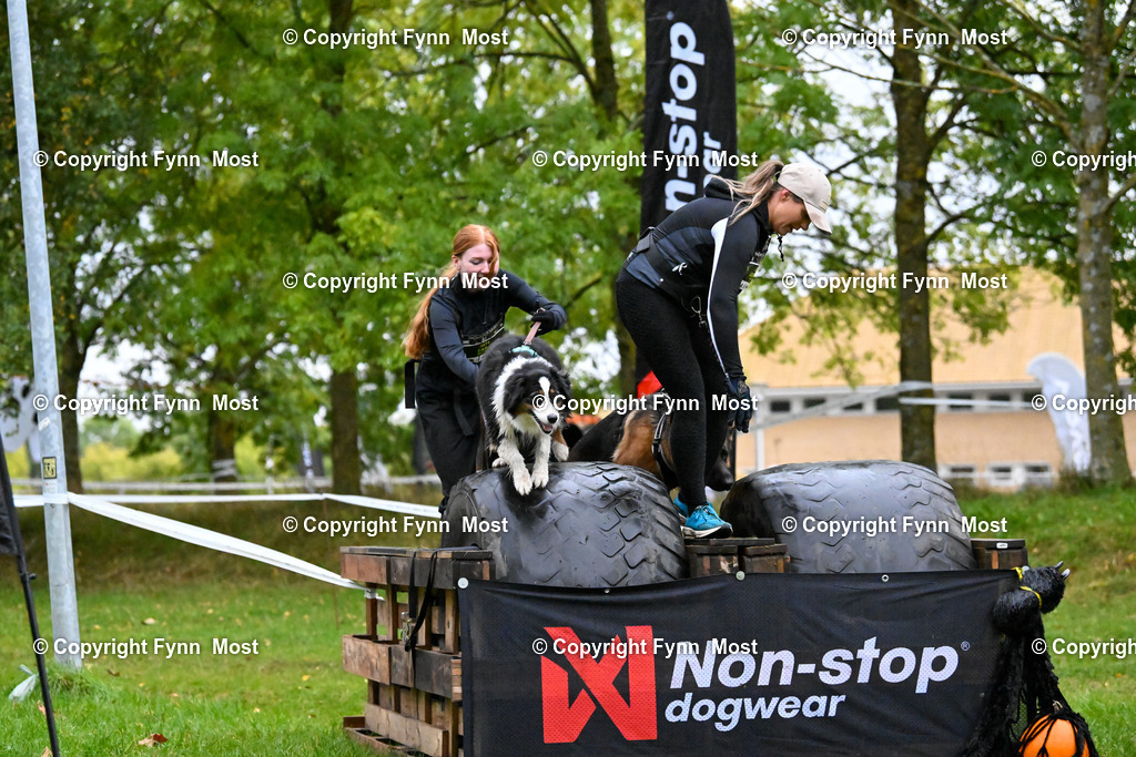 DSC_2043 | Hallo und herzlich Willkommen auf meiner Shop-Seite Fynn Most.

Ich wünsche Dir viel Spaß beim stöbern durch die Bilder, wenn Du Fragen hast oder Bilder vermisst, kannst du mir gerne eine Nachricht schreiben. - Realized with Pictrs.com