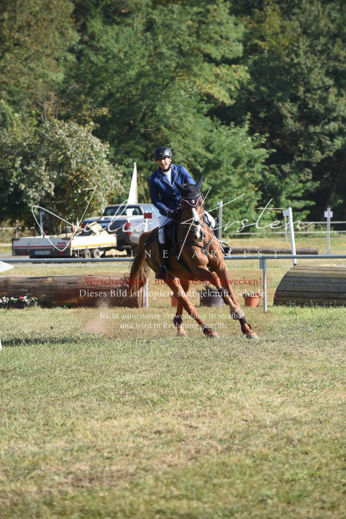DSC_5337 | Pferde- und Turnierfotografie in Westsachsen. Pferdeportraits, Auftragszeichnungen und intuitive Kunst.