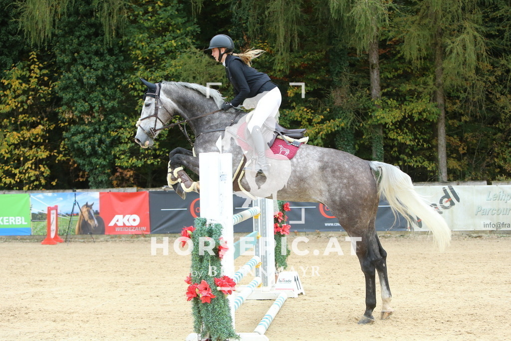 DL2Q7486 | Willkommen bei Brunnmayr - Design & Fotografie – Ihrem Spezialisten für Reitturniere und Pferdeveranstaltungen in Oberösterreich, Salzburg und Bayern! Seit über 17 Jahren sind wir leidenschaftlich dabei.