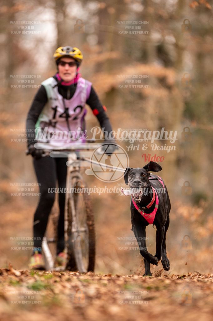 AKM_ST_2023_SAM_Scooter-5 | PayLife