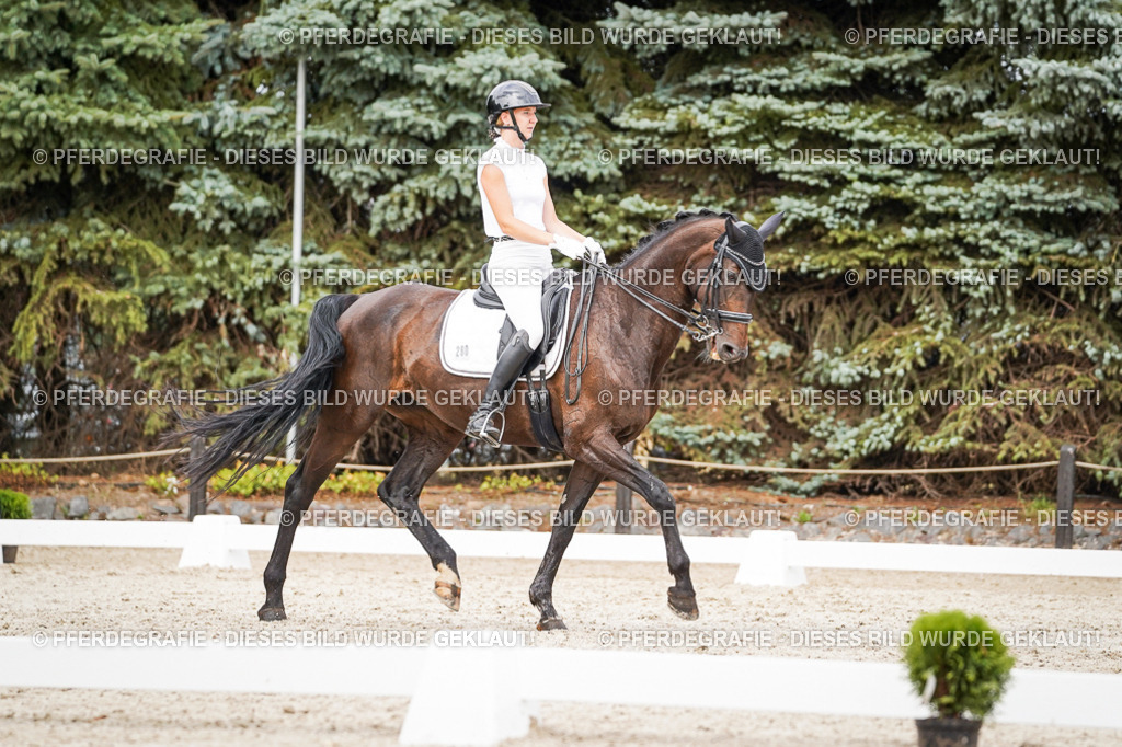 DSC06665 | Pferdegrafie