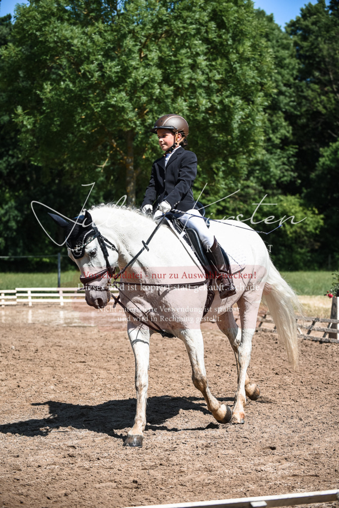 DSC_3596 | Pferde- und Turnierfotografie in Westsachsen. Pferdeportraits, Auftragszeichnungen und intuitive Kunst.