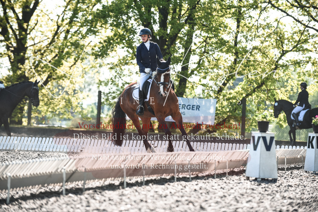 DSC_8549 | Pferde- und Turnierfotografie in Westsachsen. Pferdeportraits, Auftragszeichnungen und intuitive Kunst.