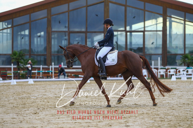 DKP43647 | Turniersportfotografie; Pferdefotografie; Dressurfotografie