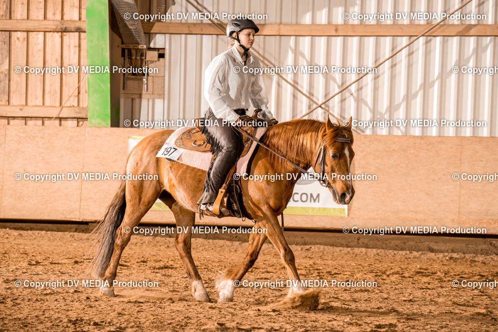 BAL03083 | dv-media-shop - Realisiert mit Pictrs.com