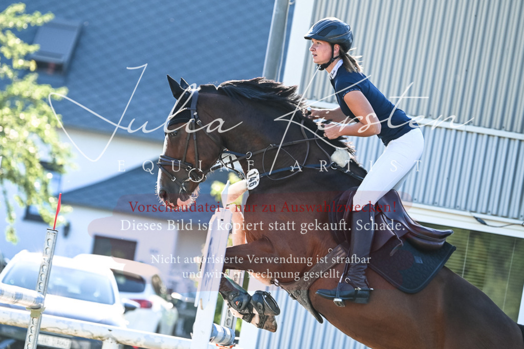 DSC_2893 | Pferde- und Turnierfotografie in Westsachsen. Pferdeportraits, Auftragszeichnungen und intuitive Kunst.